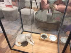 -袖虎·猫馆(体育西路店)