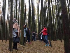 -山王坪喀斯特国家生态公园