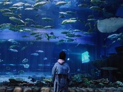 -华夏文旅海洋公园