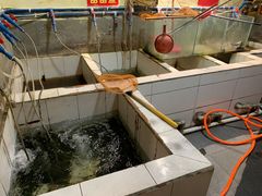 -老船夫石锅苗苗鱼·老字号(三道堰总店)