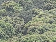 -清溪大王山森林公园