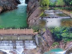 -广州白江湖森林公园