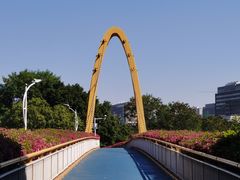 -玉树公园