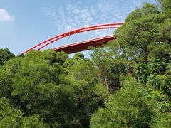 -金鸡山公园