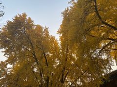 -国家图书馆·古籍馆