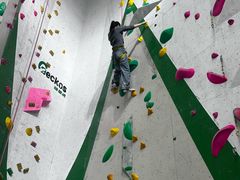 -绿壁虎攀岩基地(Tcar店)