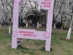 -堤角公园