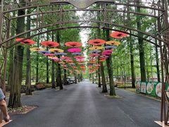 -东平国家森林公园