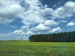 -塞罕坝国家级自然保护区