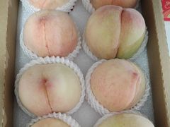 -老袁家蜜桃农场·阳山水蜜桃