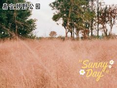 -嘉北郊野公园