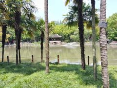 -瀛洲公园