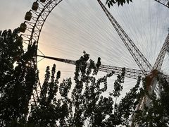 -石家庄市动物园