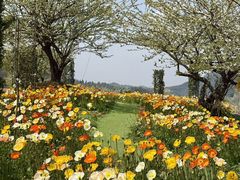 -名花谷生态庄园