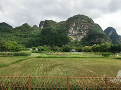 -明仕田园