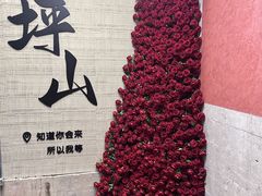 -鹏鹏虾庄·创新土鸡火锅(坪山高铁站店)