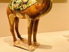 -深圳博物馆(古代艺术馆)