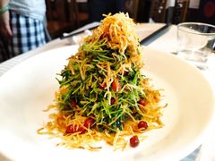 巧拌豆苗-四季民福烤鸭店(王府井灯市口店)