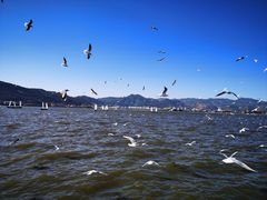 -滇池海埂公园