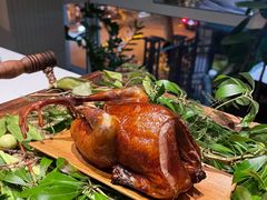 -蝶舍·MAISON PAPILLON