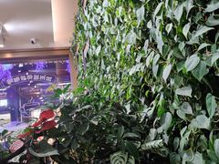 -Peet's Coffee皮爷咖啡(豫园店)