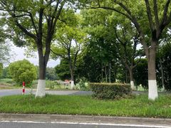 -双山岛