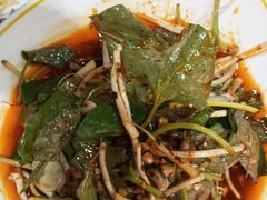 -韩妹鱼庄·泸定老字号(泸定店)