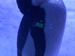 -上海海昌海洋公园