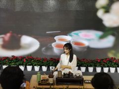 -诗宇时光茶艺书法古琴培训