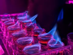 -MOSSO音乐酒吧·live house(南京旗舰店)