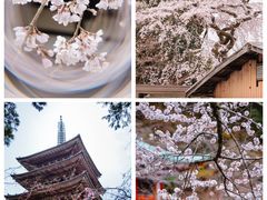 -醍醐寺