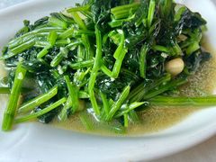 蒜泥菠菜-那达慕蒙古风味酒楼