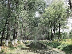 -东郊湿地公园