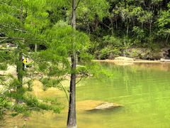 -广州白江湖森林公园