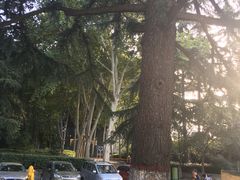-西安市长乐公园