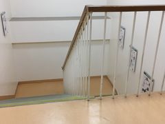 -瑞派·关忠动物医院·异宠专科·犬猫肿瘤·皮肤专科(望京店)