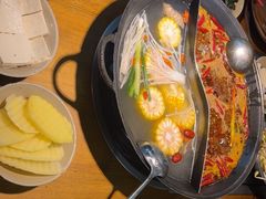 -阳阳老火锅(小南门店)