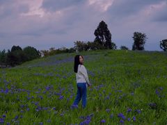 -白鹭湾湿地公园