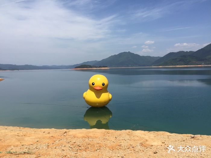 东江湖凤凰岛景区-图片-资兴市周边游-大众点评网