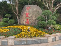 -野狸岛