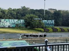 -深圳野生动物园