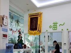 -纳吉亚猫专科动物医院·北北分院