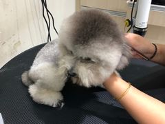 -宠颐生动物医院·小陆分院