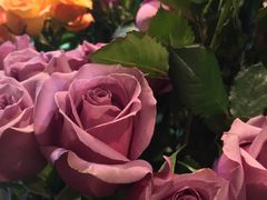 -Flower in(密渡桥店)