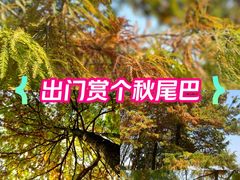 -月湖风景区