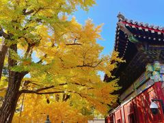 -红螺寺