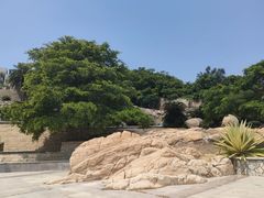 -东山风动石景区