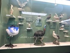 -国家自然博物馆