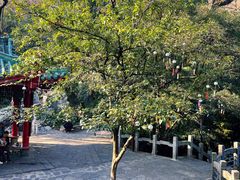 -叠彩山景区