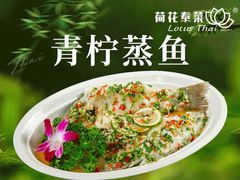 -荷花泰菜(东方新天地店)